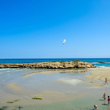 El Bosque Playa Flamenca Exterior foto