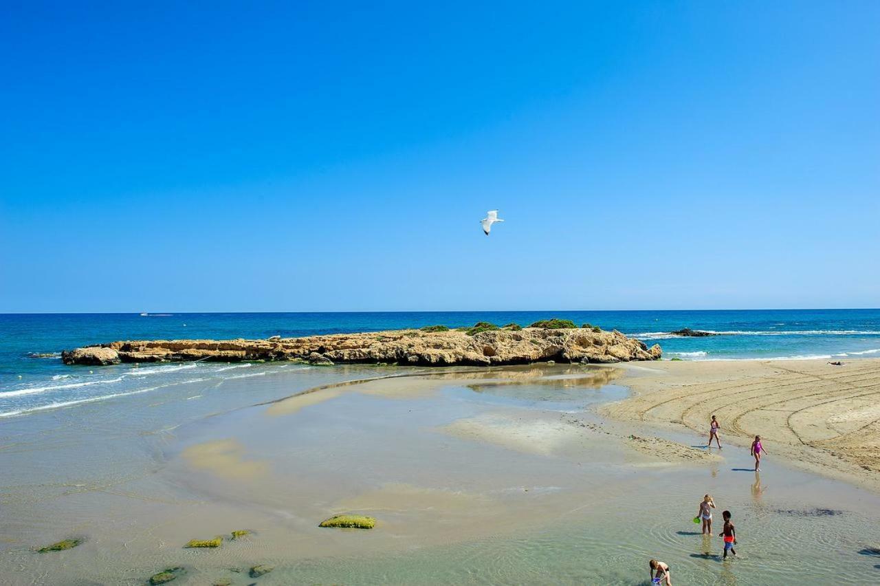 El Bosque Playa Flamenca Exterior foto